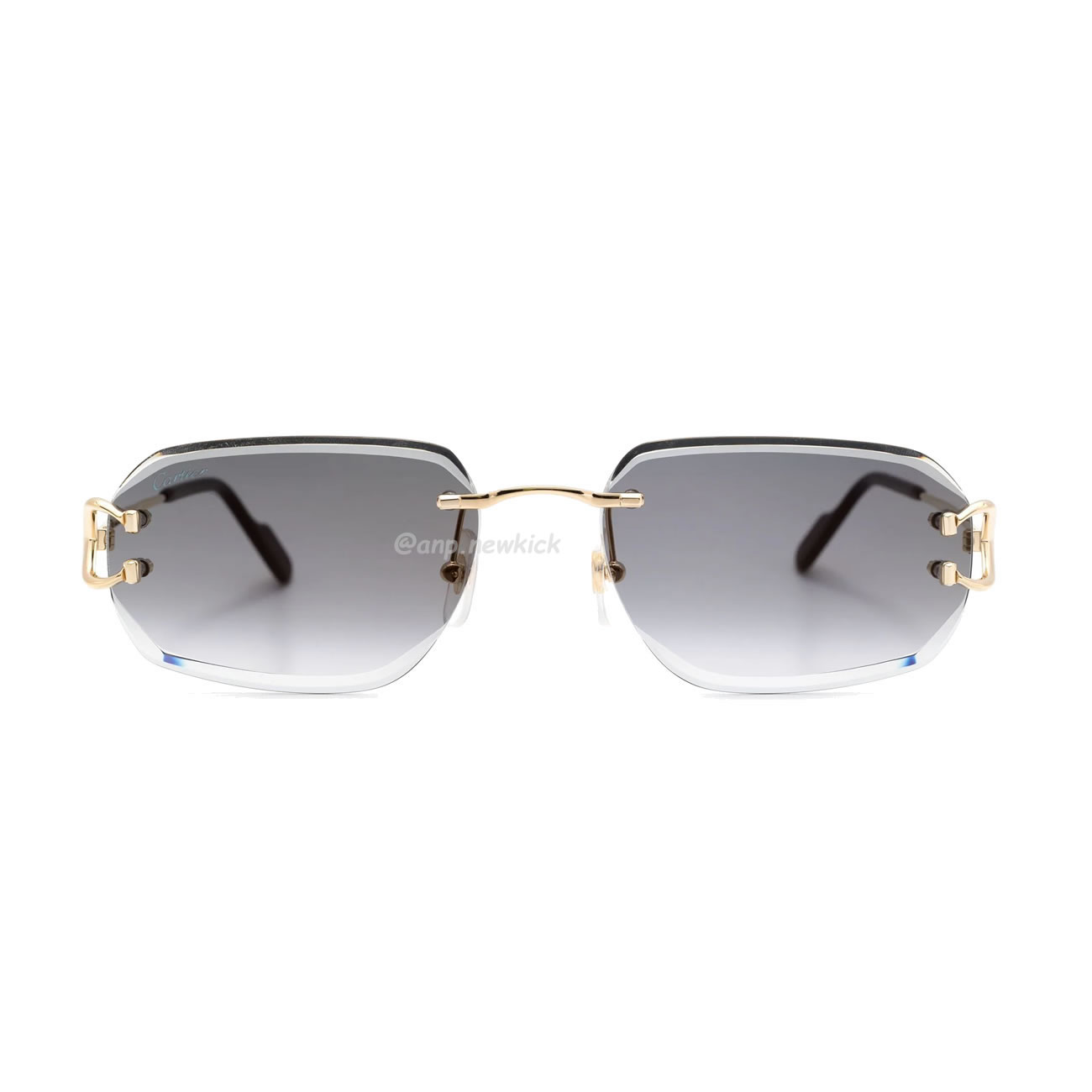 Cartier Eyewear Rimless Rectangle Frame Sunglasses (6) - newkick.org